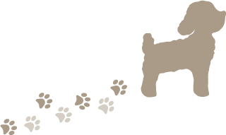 犬